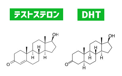 テストステロンとジヒドロテストステロン（DHT）の化学式